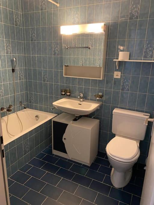 شقة Ascona: Residenza Sabrina,App 2.5 Locali E Piscina المظهر الخارجي الصورة