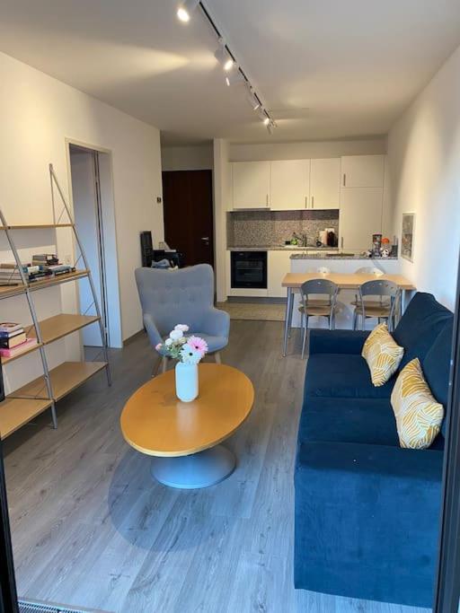 شقة Ascona: Residenza Sabrina,App 2.5 Locali E Piscina المظهر الخارجي الصورة