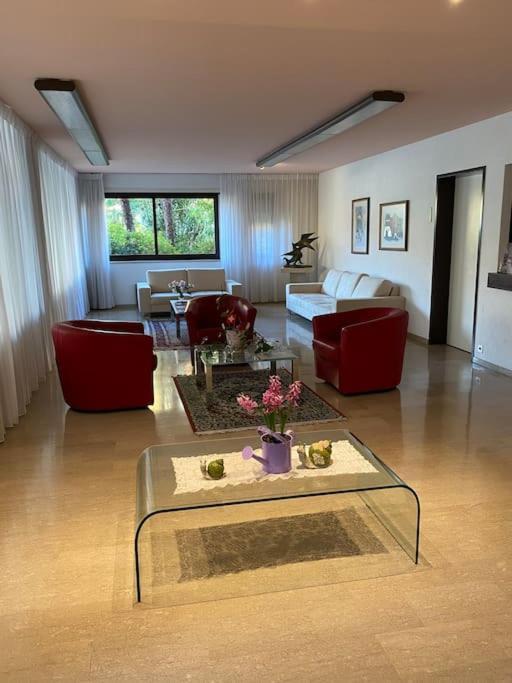 شقة Ascona: Residenza Sabrina,App 2.5 Locali E Piscina المظهر الخارجي الصورة